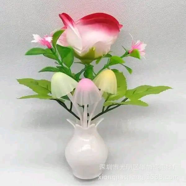 Dr Nizam